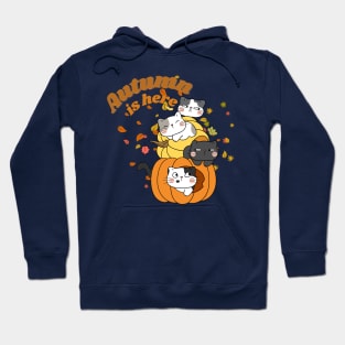 Autumn is here - Hello Fall - Cat in Pumpkin Hoodie